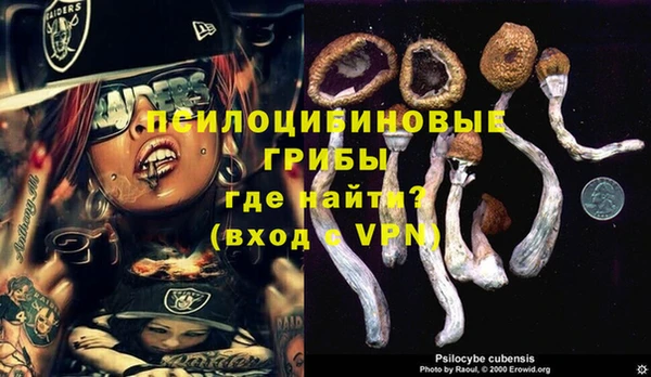 гидропоника Наволоки